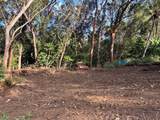 2599 Ala Olu Pl - Photo 10