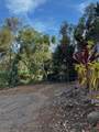 2599 Ala Olu Pl - Photo 14