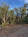 2599 Ala Olu Pl - Photo 15