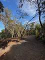 2599 Ala Olu Pl - Photo 17