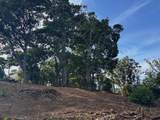 2599 Ala Olu Pl - Photo 9