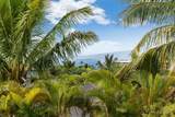 30 Laukahi St - Photo 4