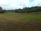Lower Nahiku Rd - Photo 7
