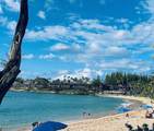 50 Napili Pl - Photo 24