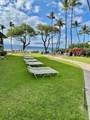 50 Napili Pl - Photo 28