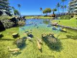 2481 Kaanapali Pkwy - Photo 31