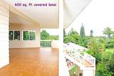 22 Hale Lio Pl - Photo 11