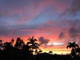 22 Hale Lio Pl - Photo 44