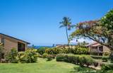 3300 Wailea Alanui Dr - Photo 30