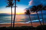 2481 Kaanapali Pkwy - Photo 8