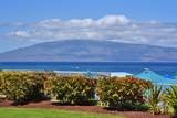 2481 Kaanapali Pkwy - Photo 9