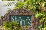 40 Ho'olalei Way - Photo 41