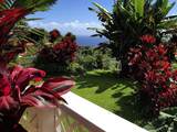 979 Hana Hwy - Photo 28