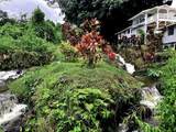 979 Hana Hwy - Photo 4