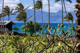 5315 Lower Honoapiilani Rd - Photo 31