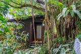 1600 Lower Nahiku Rd - Photo 12