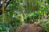 1600 Lower Nahiku Rd - Photo 16
