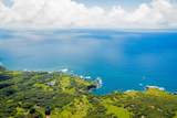 41049 Hana Hwy - Photo 38