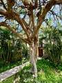 3600 Wailea Alanui Dr - Photo 2