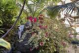 3445 Lower Honoapiilani Rd - Photo 29