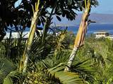 10 Wailea Ekolu Pl - Photo 29