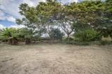 1298 Naalae Rd - Photo 6