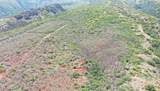 0 Wailau Valley Rd - Photo 16