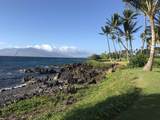 2619 Kihei Rd - Photo 34