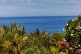 3258 Waileia Pl - Photo 26