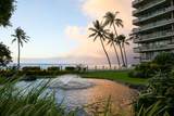 2481 Kaanapali Pkwy - Photo 28