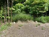000 Kamehameha V Hwy - Photo 6