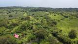 973 Hana Hwy - Photo 12