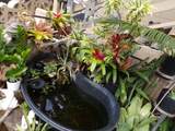 2259 Mokuhau Rd - Photo 9