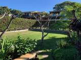 3600 Wailea Alanui Dr - Photo 9