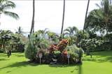 1032 Kihei Rd - Photo 45