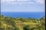 41 Leleaka Pl - Photo 40