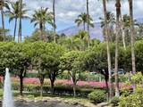 2695 Kihei Rd - Photo 3