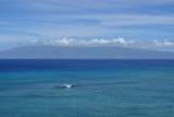 4327 Lower Honoapiilani Rd - Photo 3