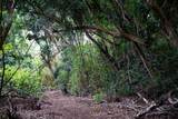 0 Malaihi Rd - Photo 11