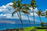 2936 Kihei Rd - Photo 45