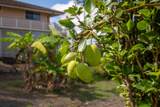358 Holopuni Rd - Photo 26