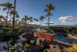 3800 Wailea Alanui Dr - Photo 47