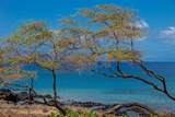 2531 Kihei Rd - Photo 34