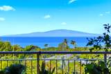 161 Wailea Ike Pl - Photo 4