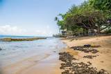 3676 Lower Honoapiilani Rd - Photo 42