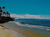 3676 Lower Honoapiilani Rd - Photo 43