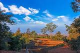 0 Haleakala Hwy - Photo 3
