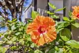 2531 Kihei Rd - Photo 4