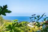 10 Leleaka Pl - Photo 44