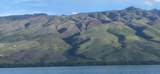 01 Kamehameha V Hwy - Photo 9